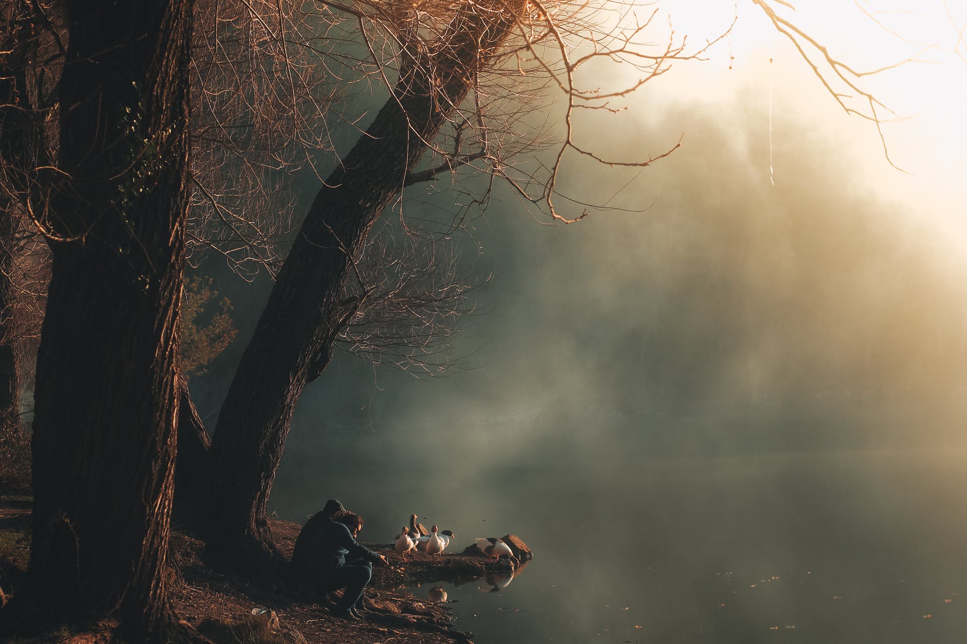 pexels-photo-1718345